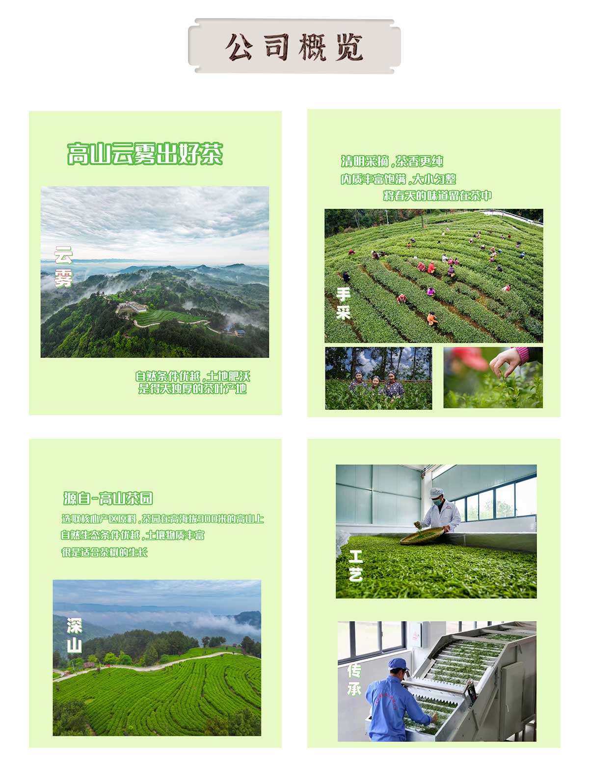 重庆硕伦农业有限公司